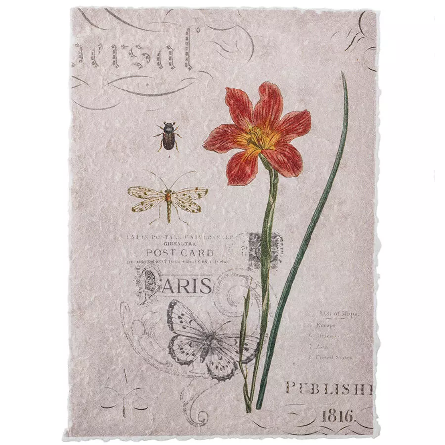 Květinový plakát #1 1 Květinový plakát #1