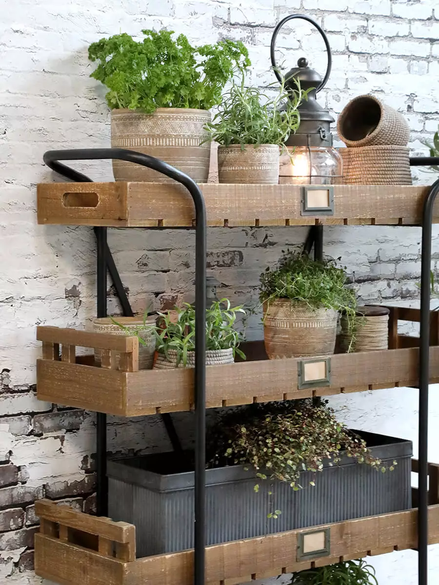 Plant stand on wheels