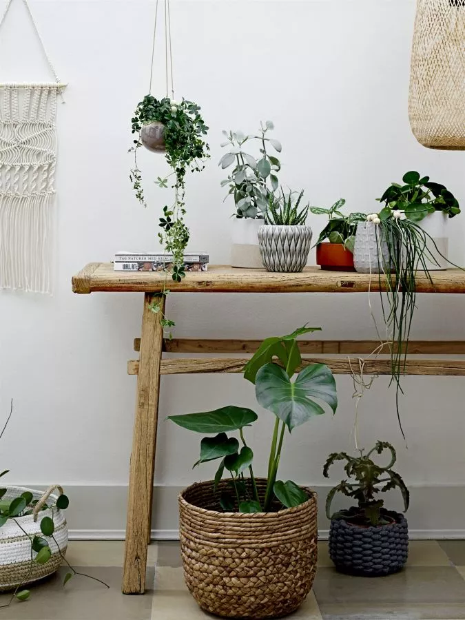 Blumenständer zur Einbindung von Grünpflanzen in Ihr Heimdekor